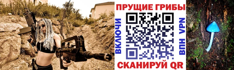 Галлюциногенные грибы мухоморы  купить наркотики цена  Жирновск 